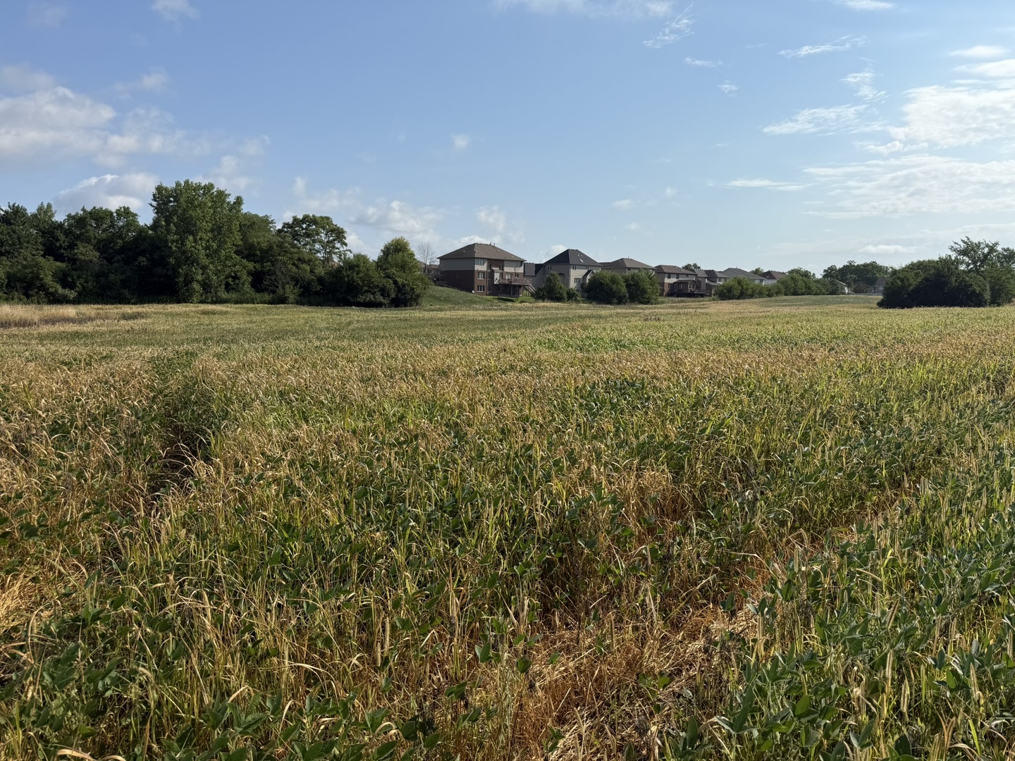 1400 (apx) W Exchange Street, Crete, IL 60417