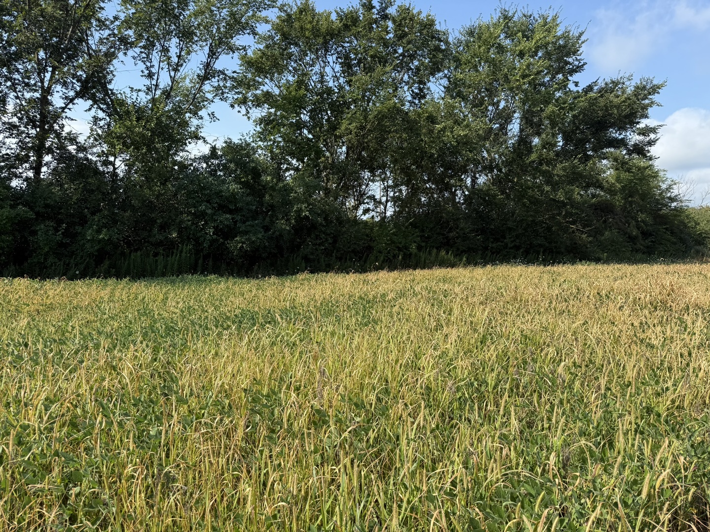 1400 (apx) W Exchange Street, Crete, IL 60417