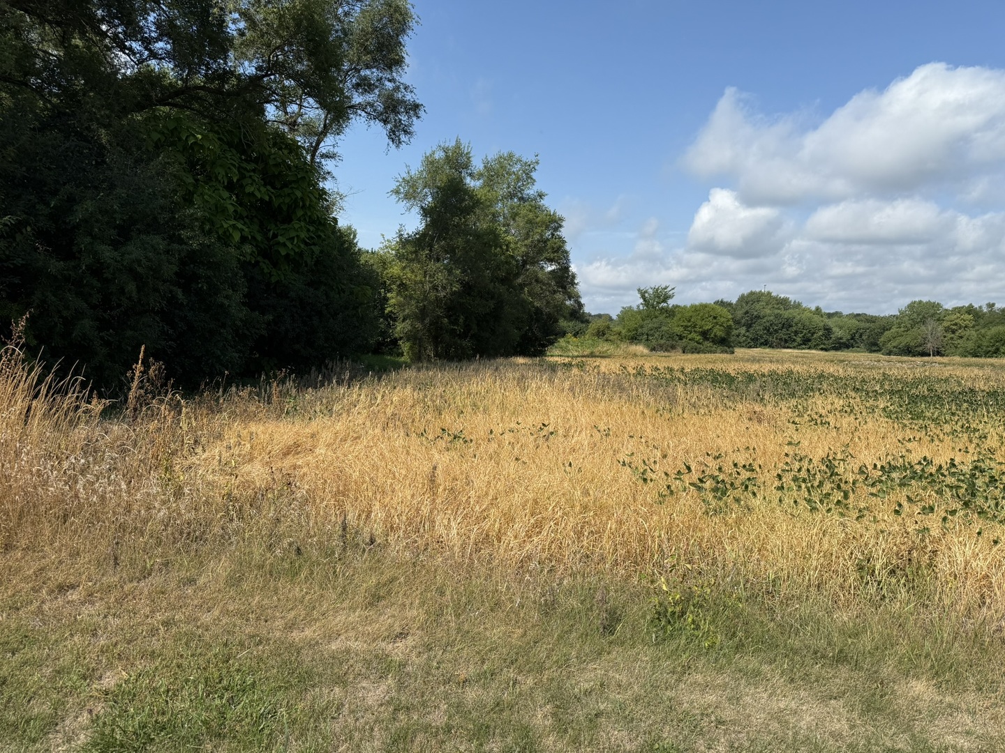 1400 (apx) W Exchange Street, Crete, IL 60417