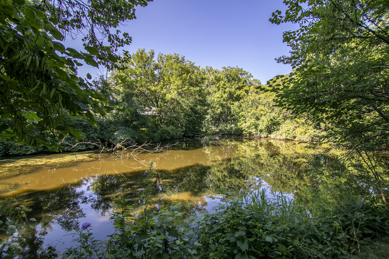 14456 S Oak Trail, Homer Glen, IL 60491
