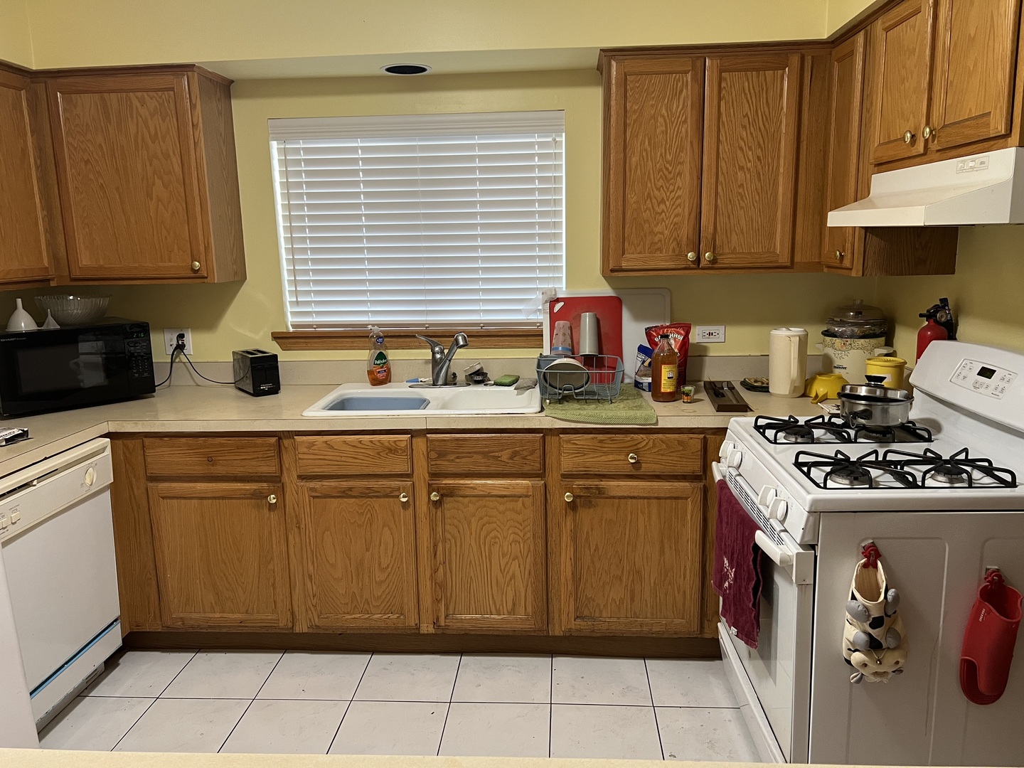 3009 N Oriole Avenue #103, Chicago, IL 60707