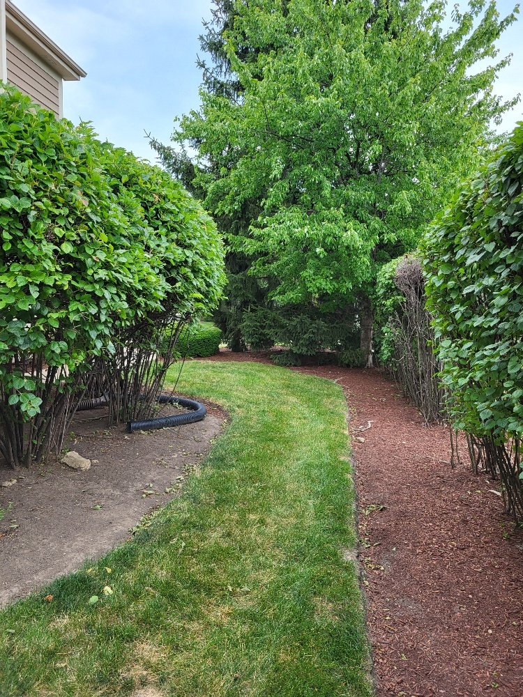2949 BROSSMAN Street, Naperville, IL 60564