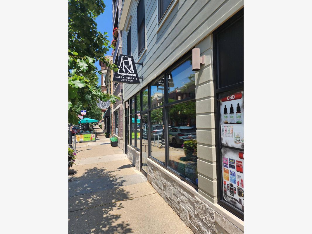 4105 N Lincoln Avenue #1, Chicago, IL 60618