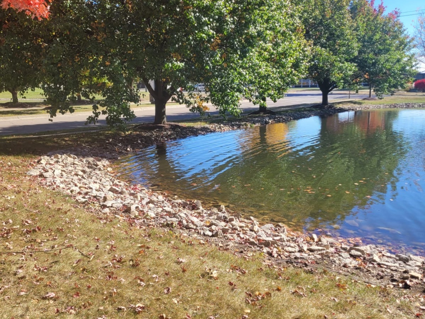 101 Enclave Circle #C, Bolingbrook, IL 60440