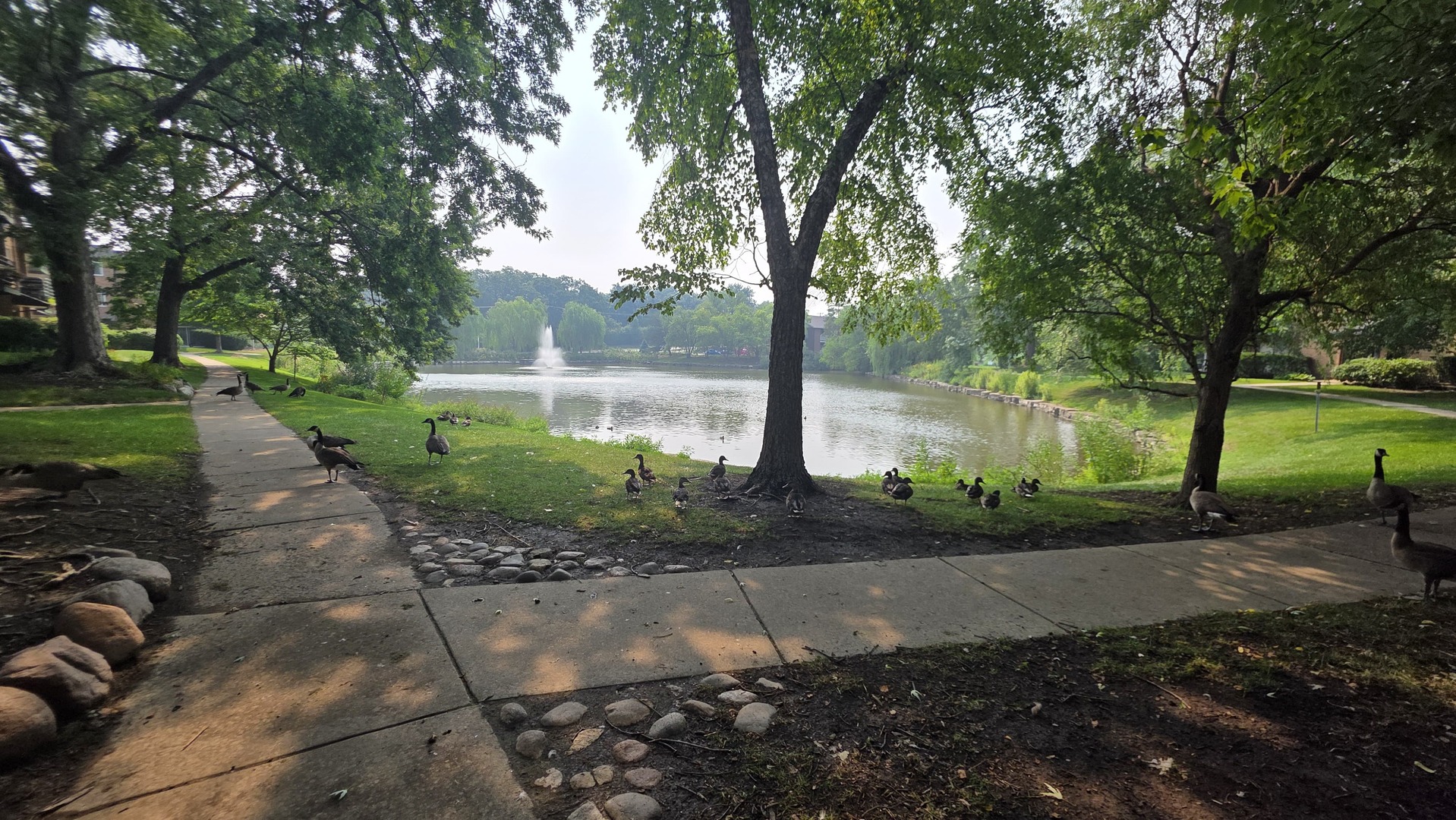 1001 Buccaneer Drive #3, Schaumburg, IL 60173