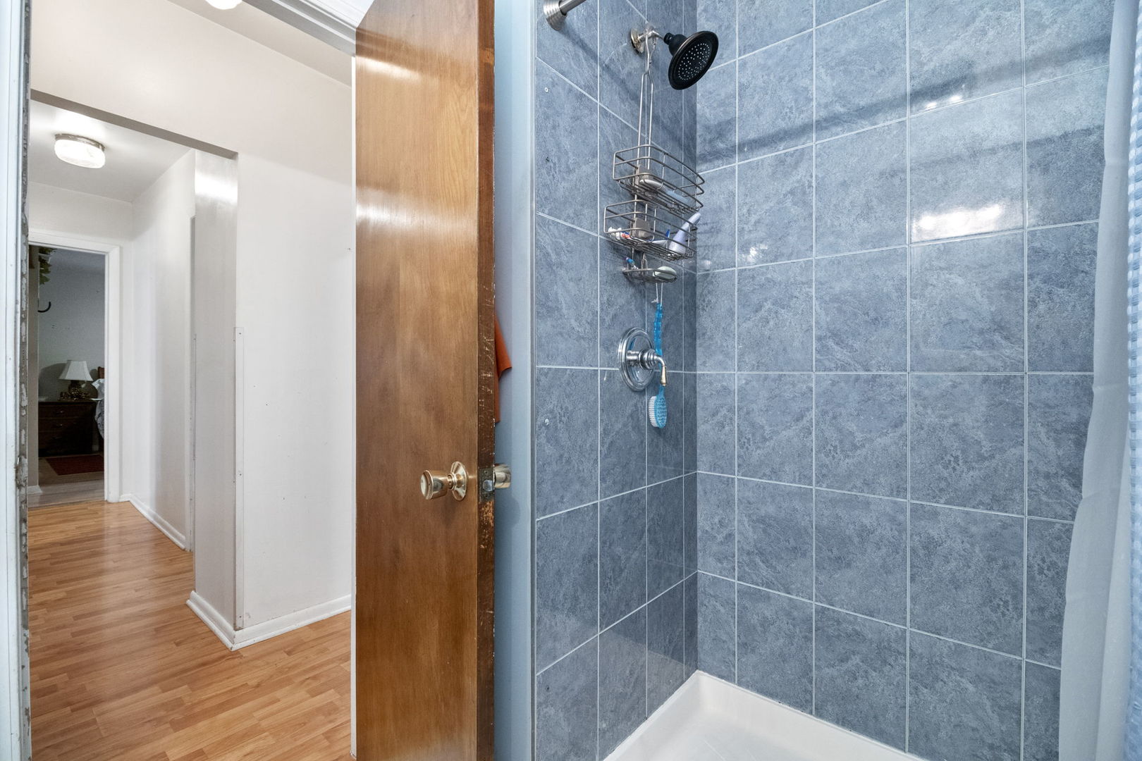 11 N Grant Street, Westmont, IL 60559