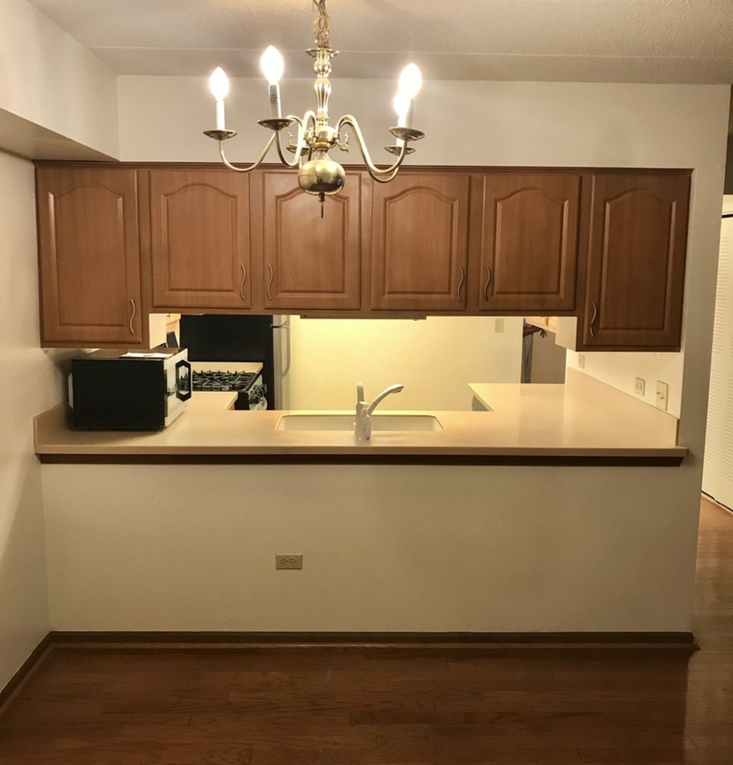 4244 W 77th Street #102, Chicago, IL 60652