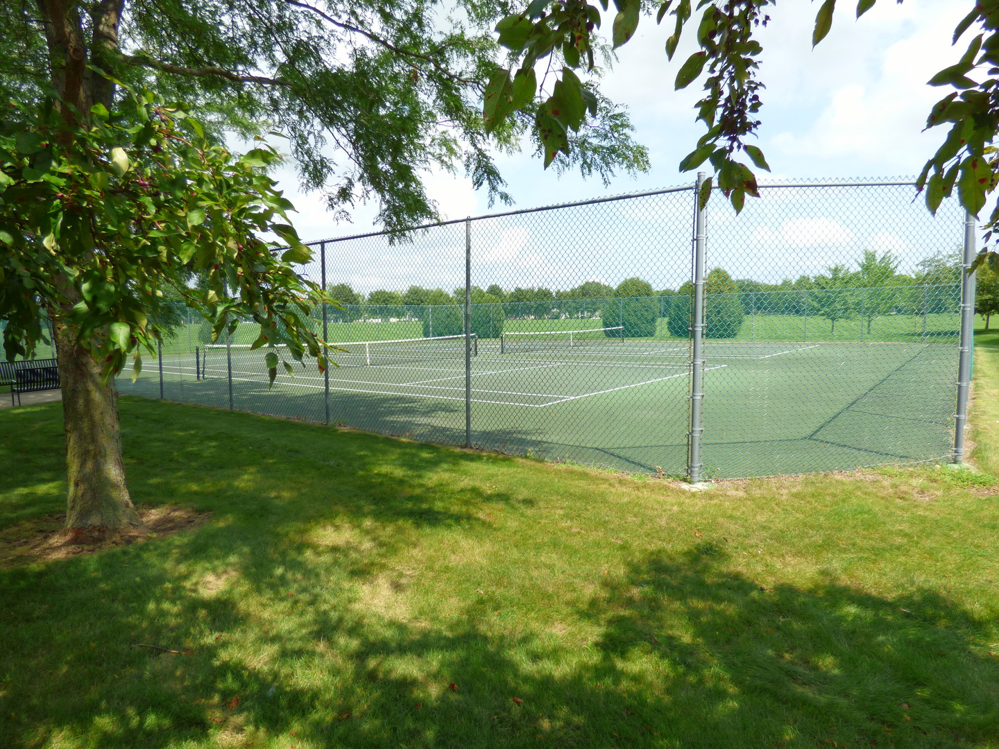 234 Water Lily Lane, Elgin, IL 60124