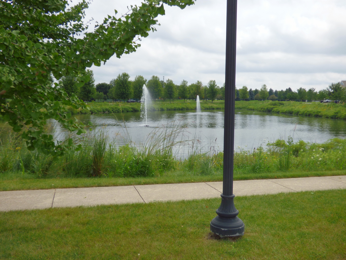 234 Water Lily Lane, Elgin, IL 60124