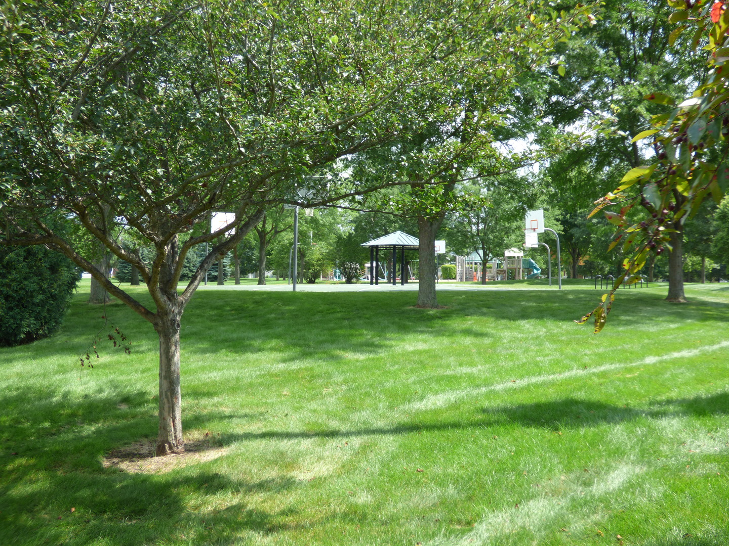 234 Water Lily Lane, Elgin, IL 60124