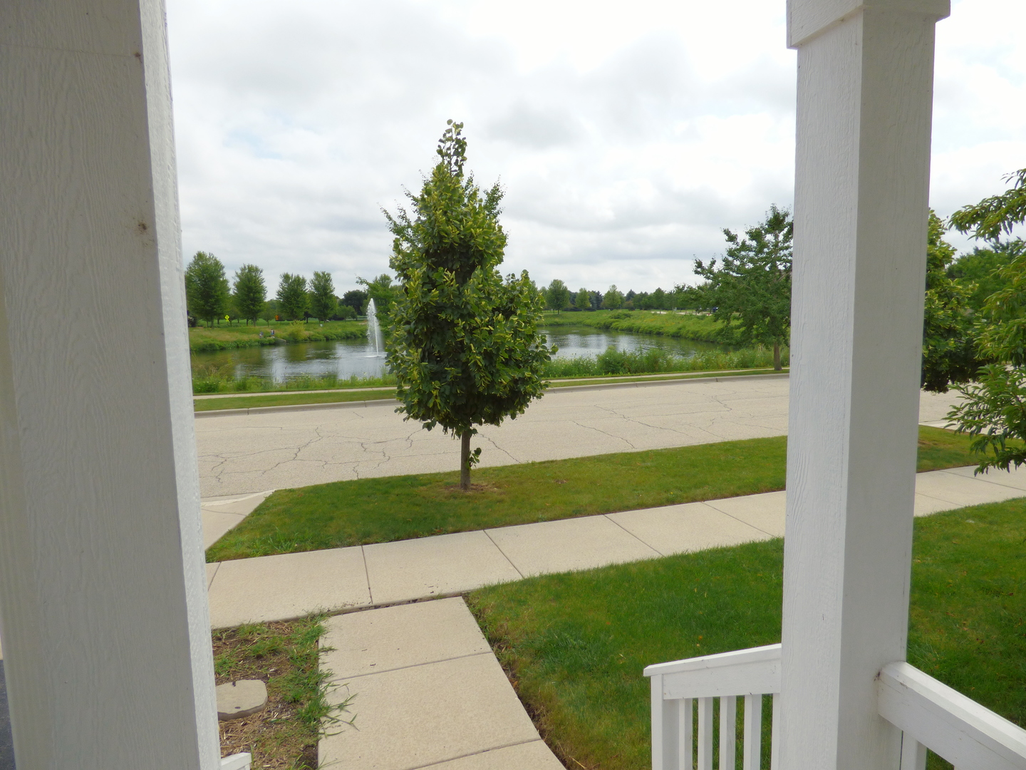 234 Water Lily Lane, Elgin, IL 60124