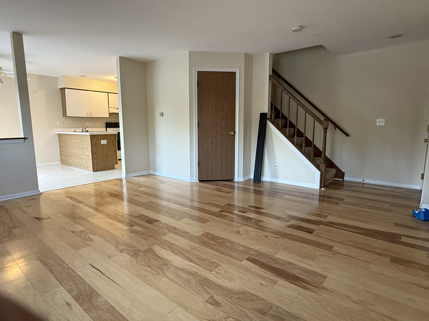 1348 S Lorraine Road #E, Wheaton, IL 60187