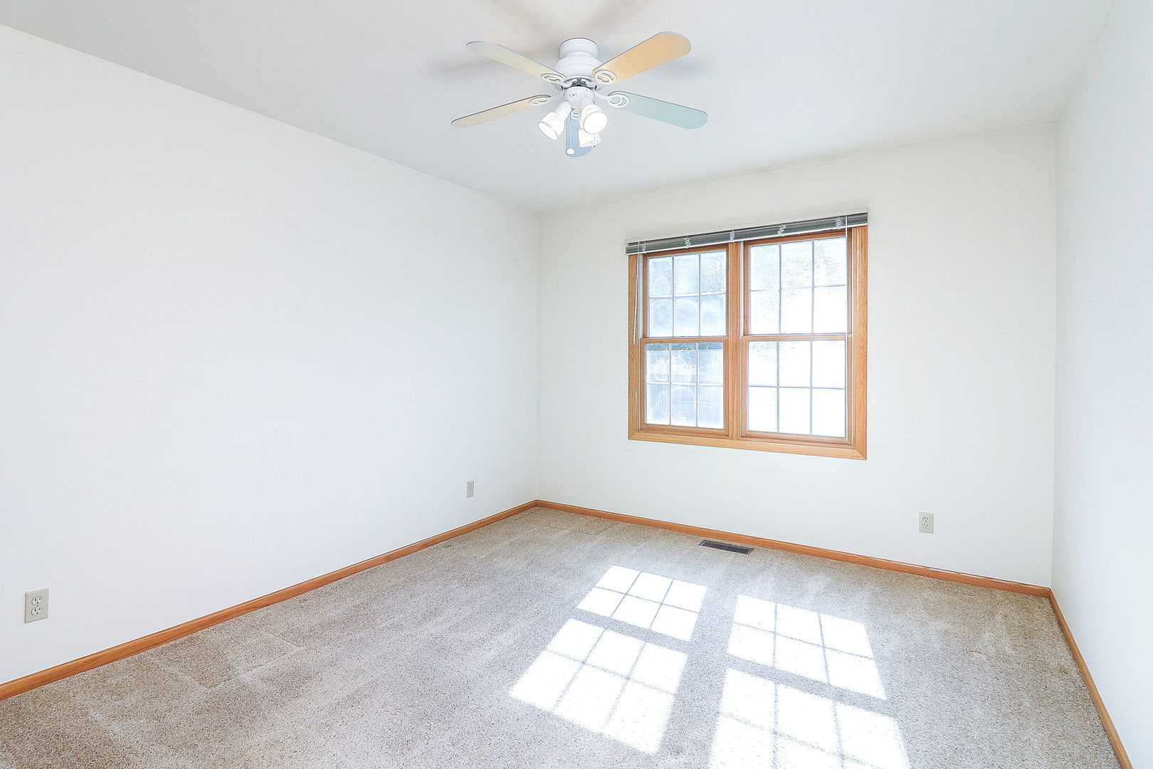 1418 Coral Bell Drive, Joliet, IL 60435