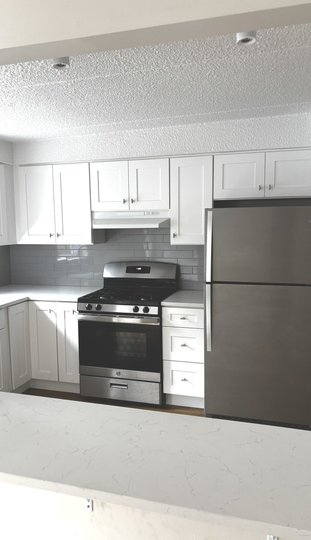 1003 S Euclid Avenue #3W, Elmhurst, IL 60126