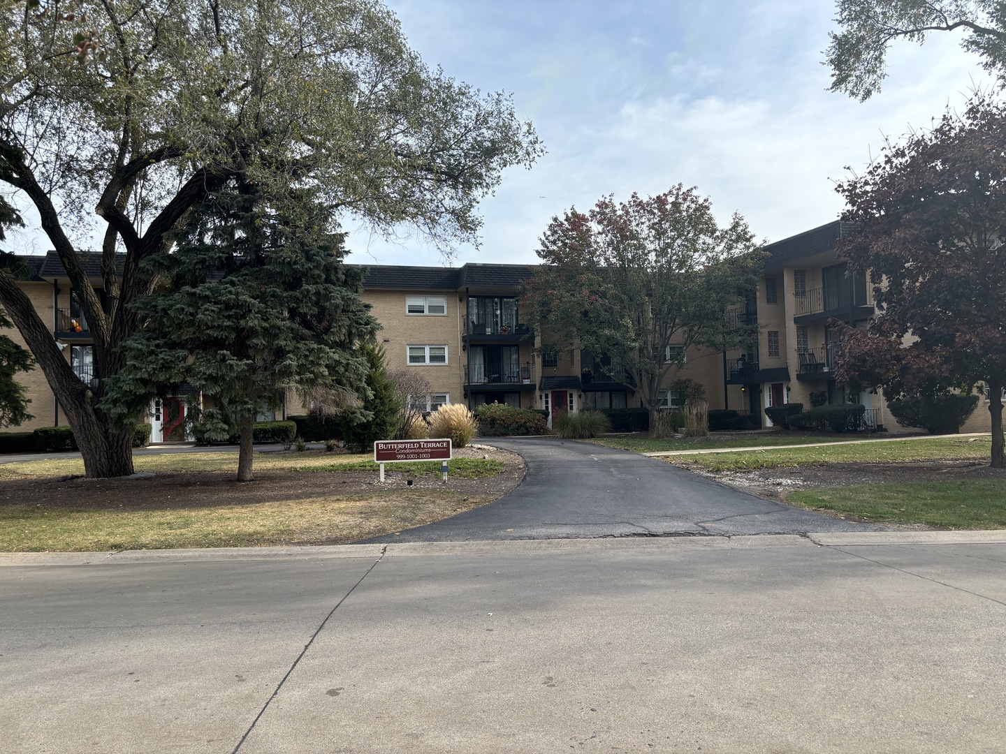 1003 S Euclid Avenue #3W, Elmhurst, IL 60126