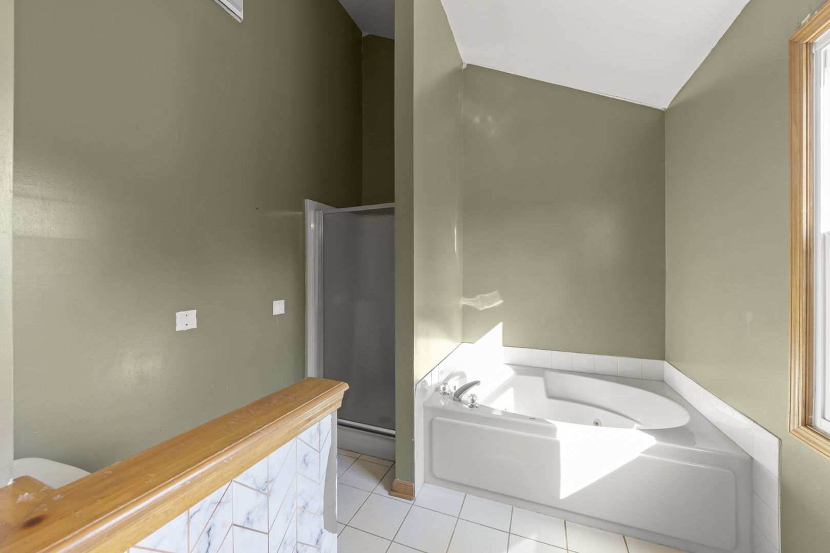 25029 W Ambrose Road, Plainfield, IL 60585