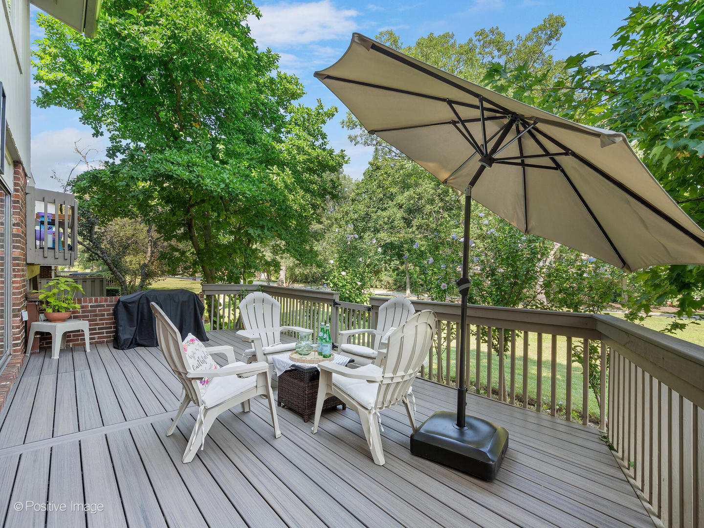 2S761 THERESA Court #761, Oak Brook, IL 60523