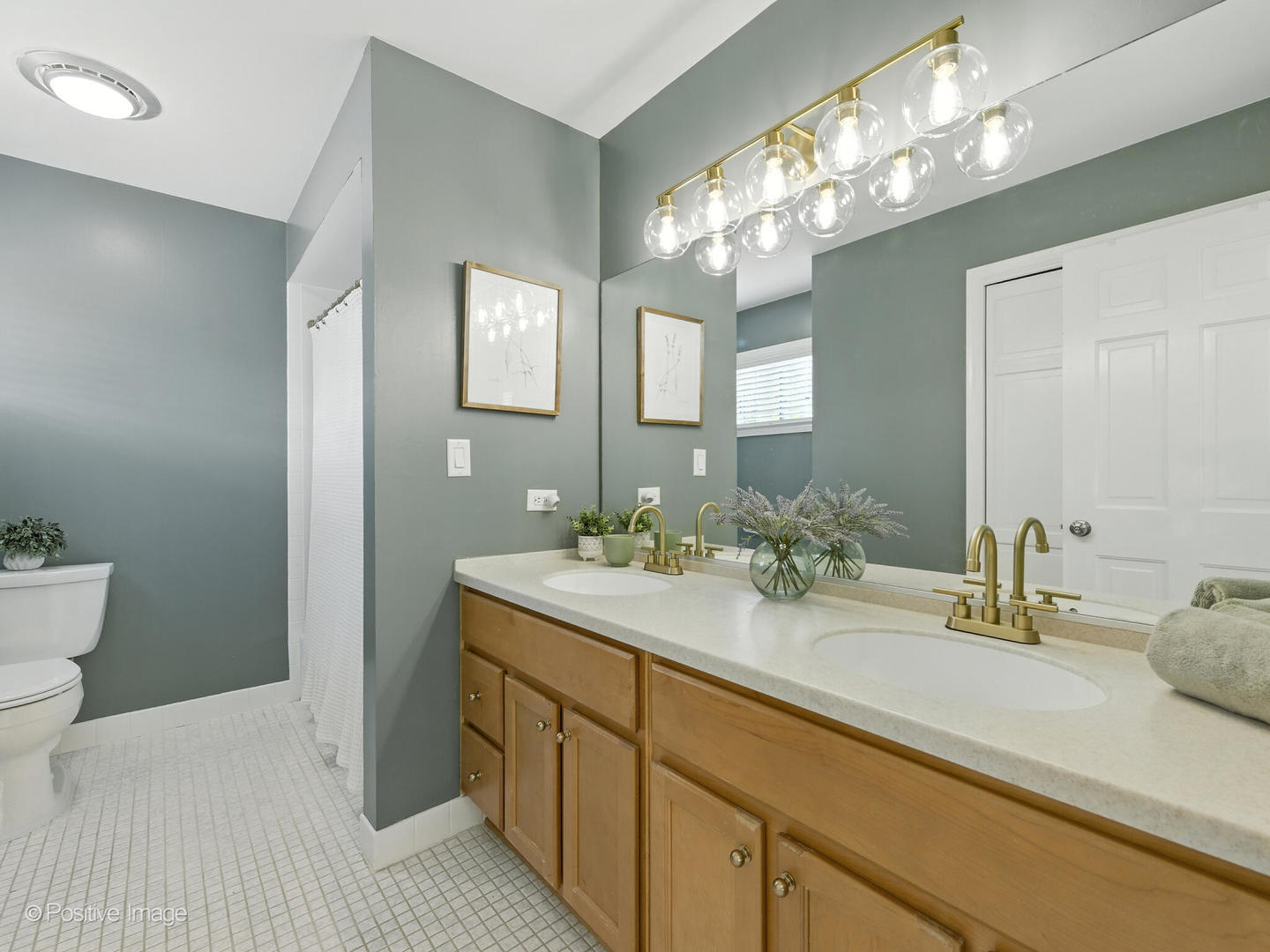 2S761 THERESA Court #761, Oak Brook, IL 60523