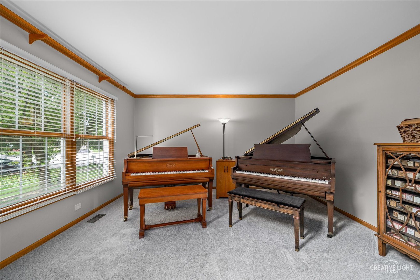 4816 Daggets Court, Naperville, IL 60564