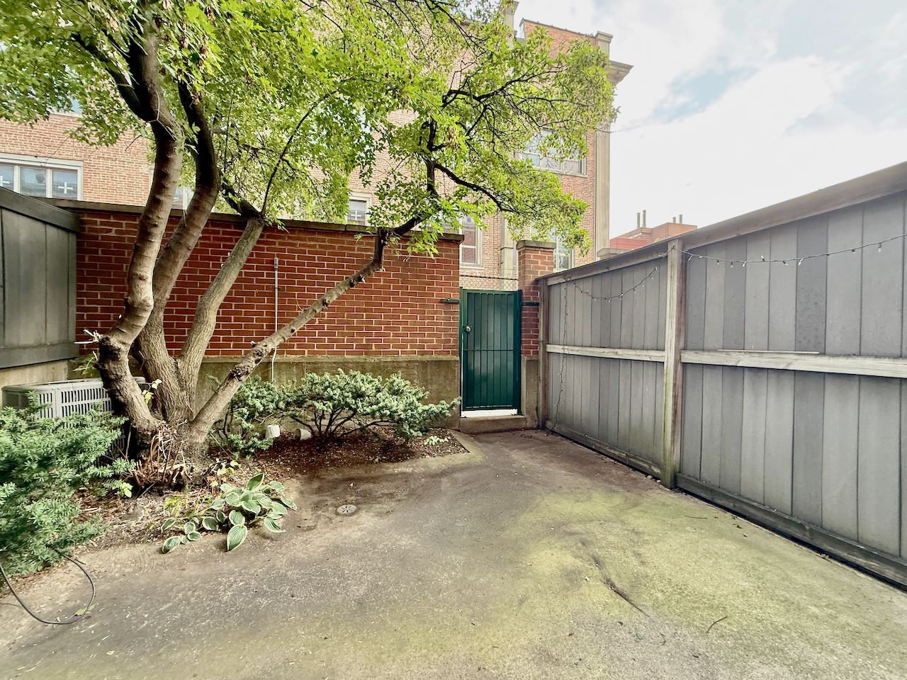 727 S Ashland Avenue #C, Chicago, IL 60607