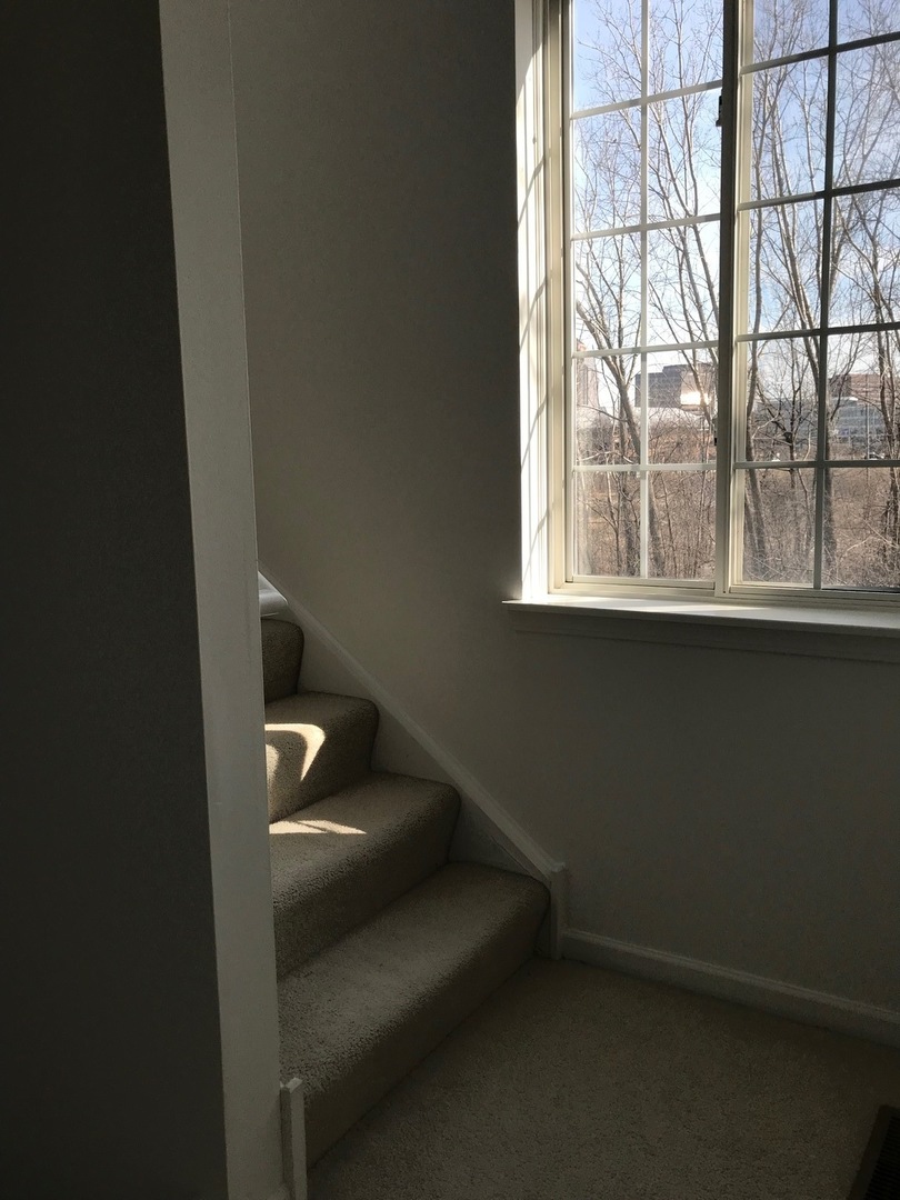 1098 Savoy Court, Elk Grove Village, IL 60007