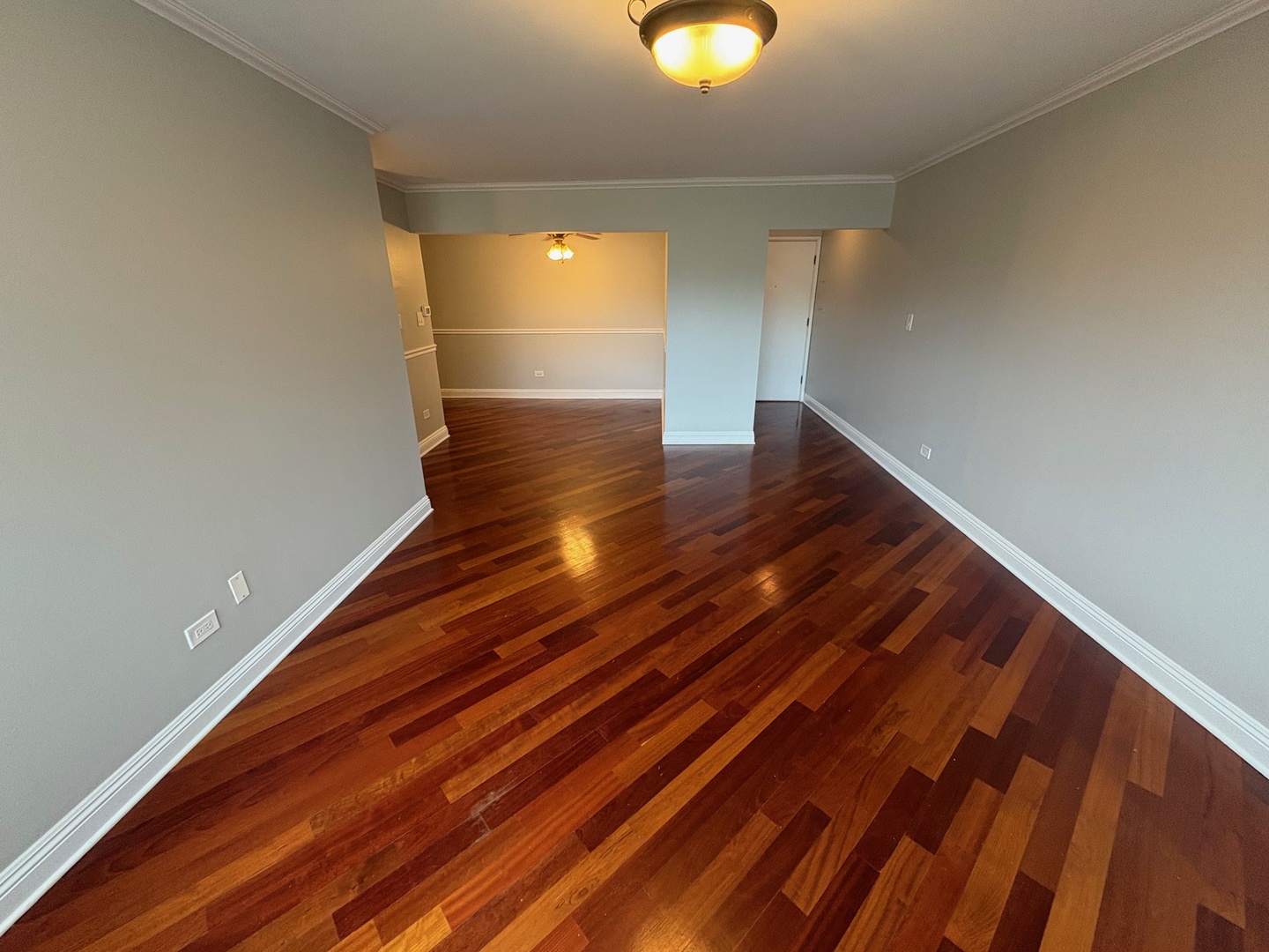5310 N Chester Avenue #502, Chicago, IL 60656