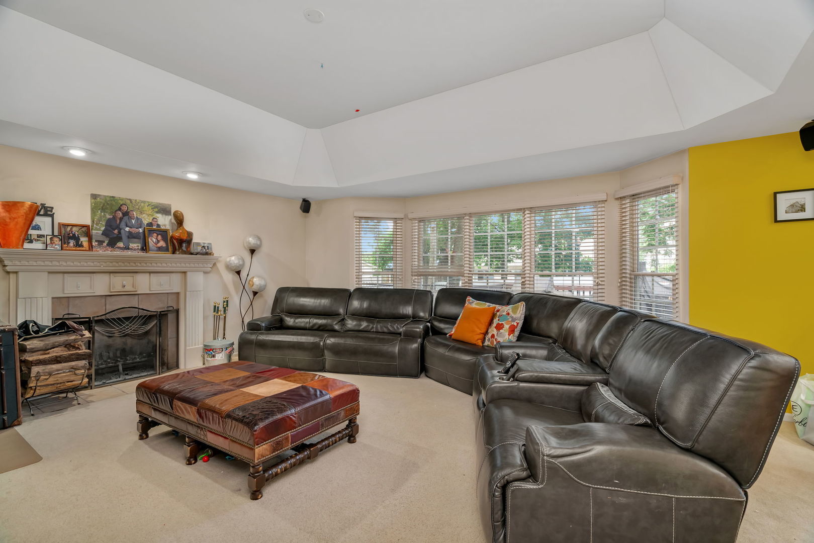 745 Feather Sound Drive, Bolingbrook, IL 60440