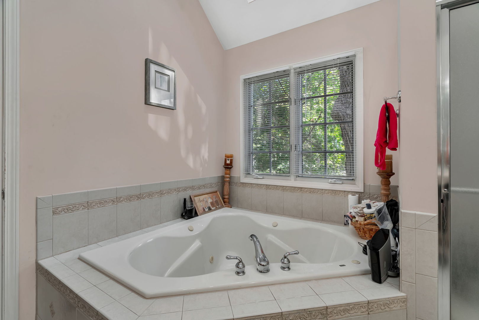 745 Feather Sound Drive, Bolingbrook, IL 60440