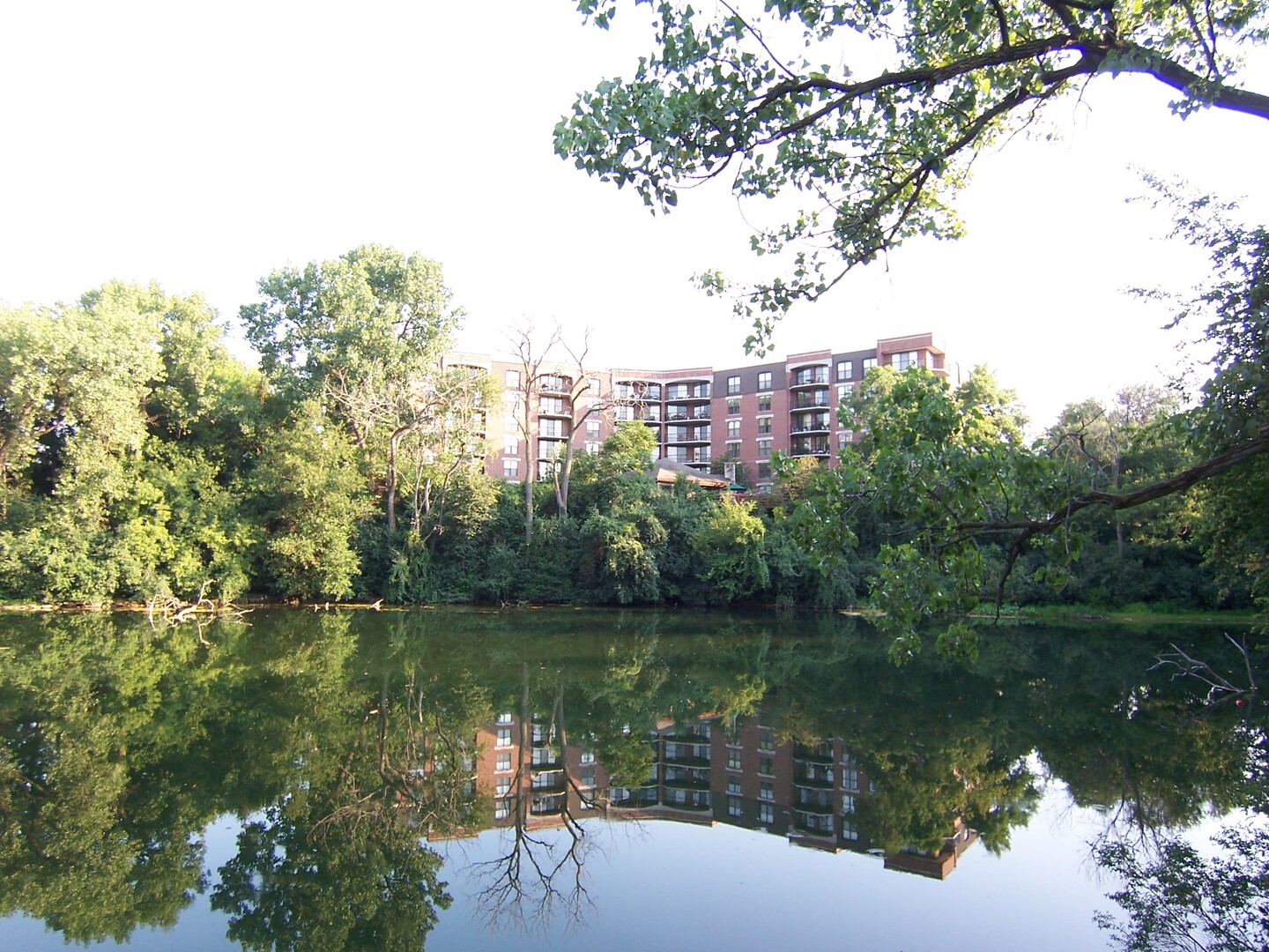 509 AURORA Avenue #117, Naperville, IL 60540