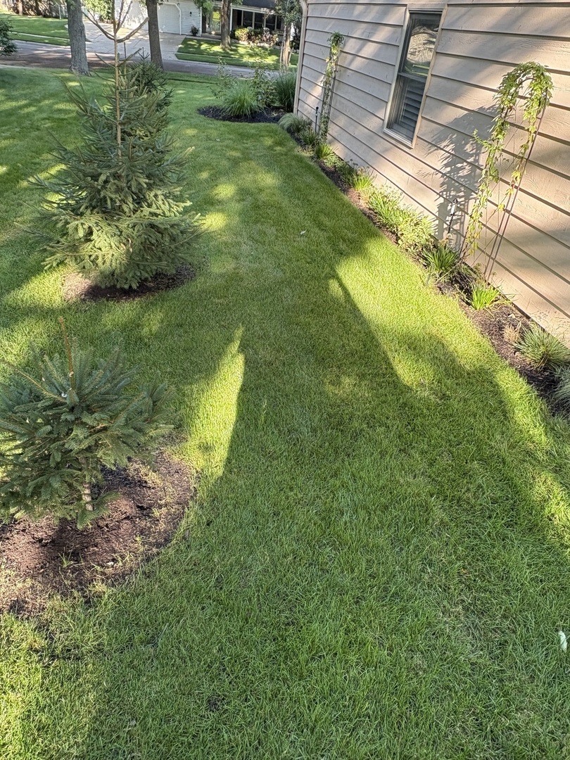 345 Cottonwood Lane, Naperville, IL 60540