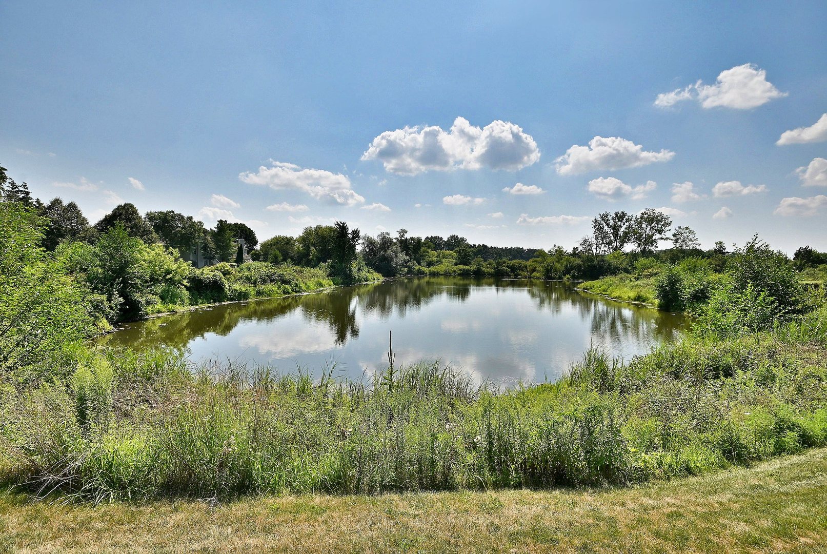 3960 Willow View Drive, Lake In The Hills, IL 60156