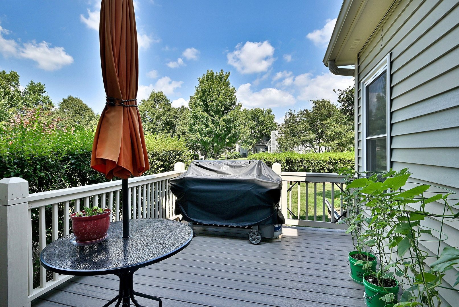 3960 Willow View Drive, Lake In The Hills, IL 60156