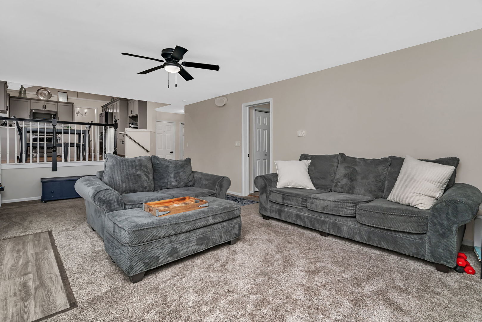 401 Feeney Drive, Minooka, IL 60447