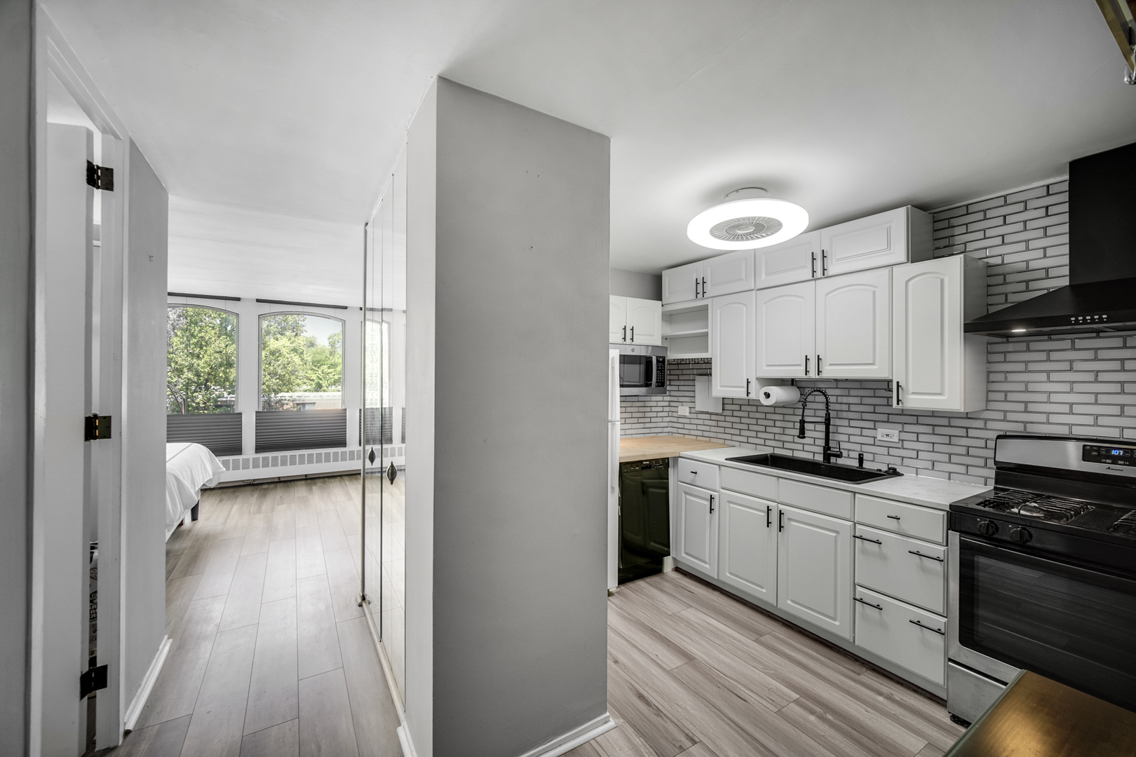 1401 E 55th Street #313N, Chicago, IL 60615