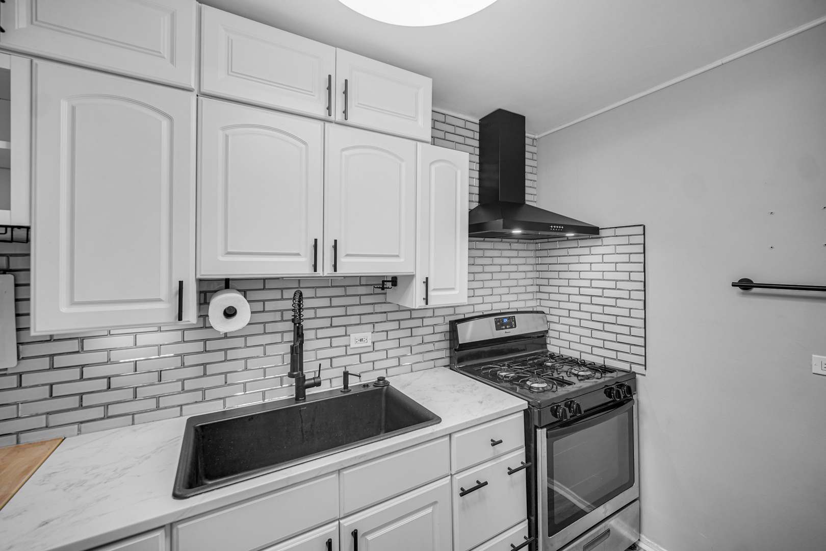 1401 E 55th Street #313N, Chicago, IL 60615