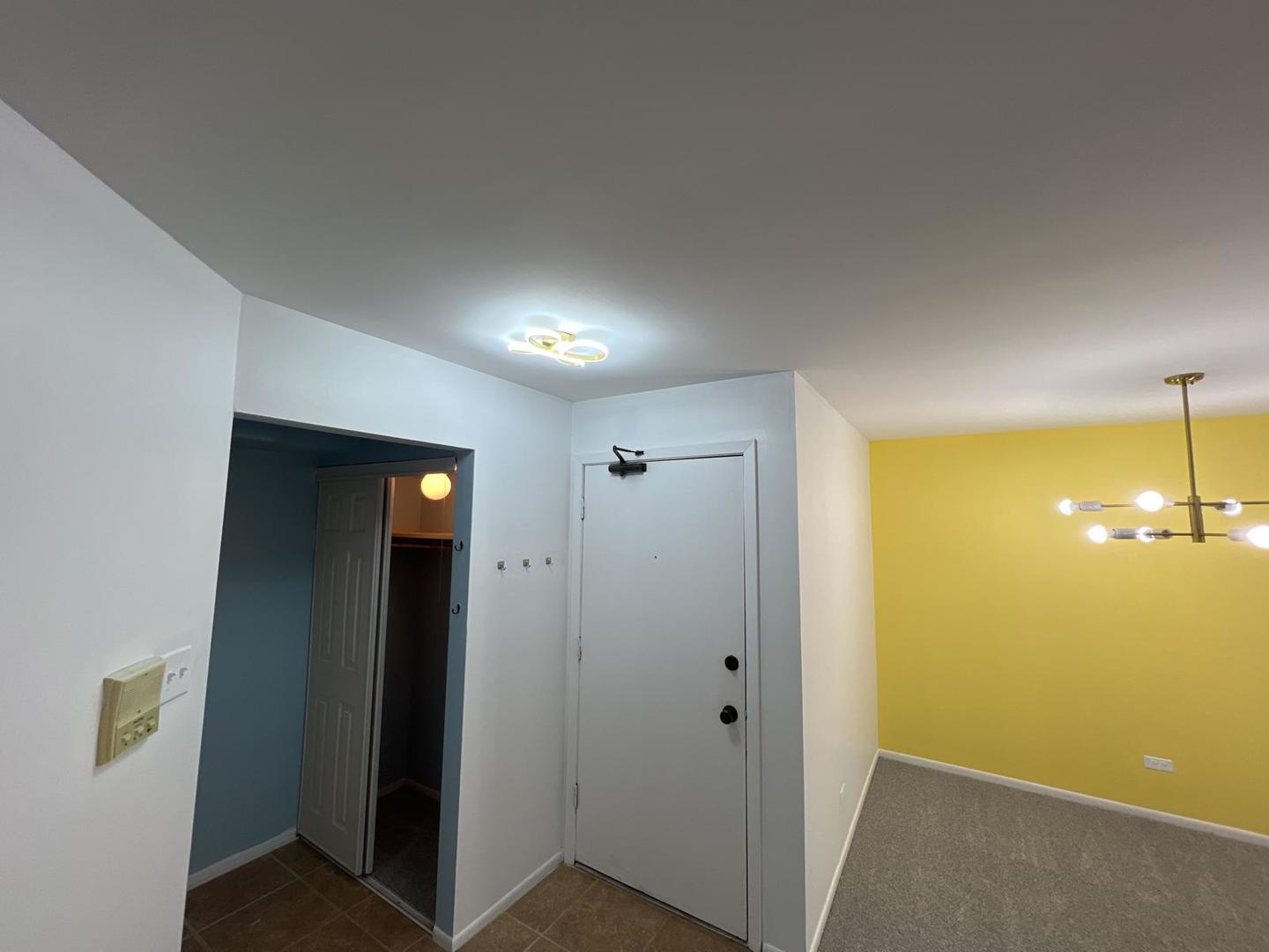 867 E Carriage Lane #8, Palatine, IL 60074