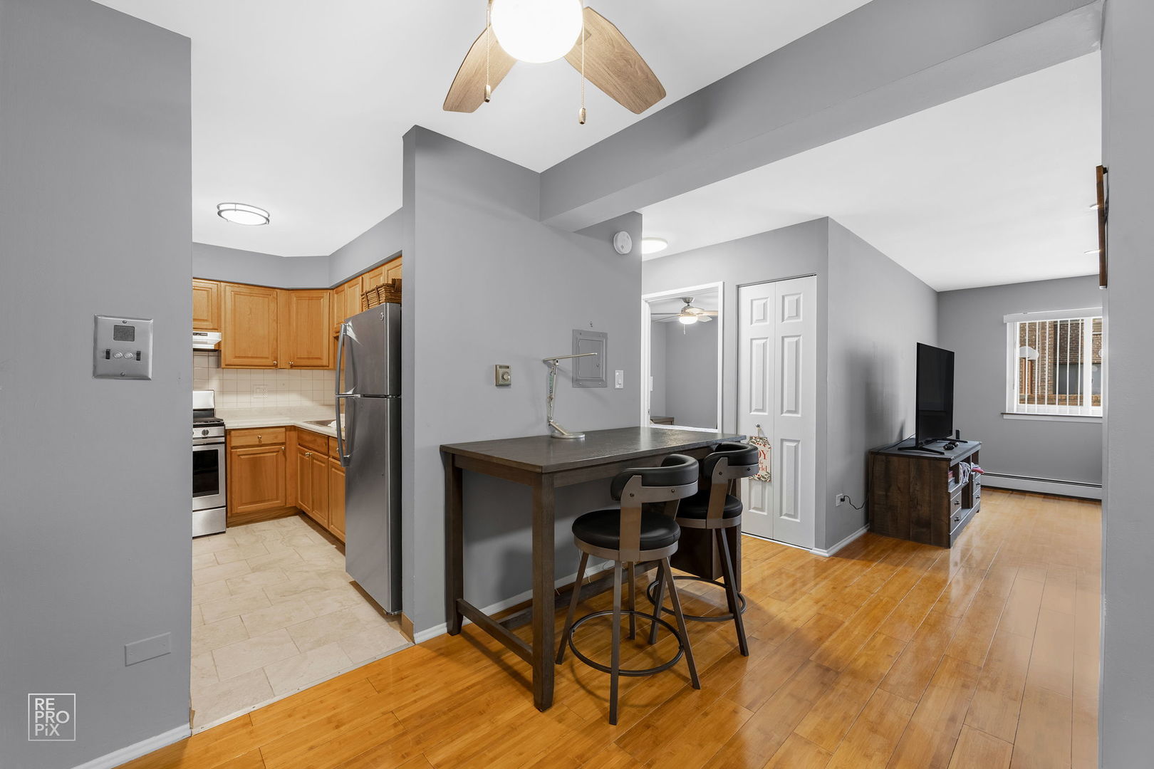 4624 N Commons Drive #111, Chicago, IL 60656