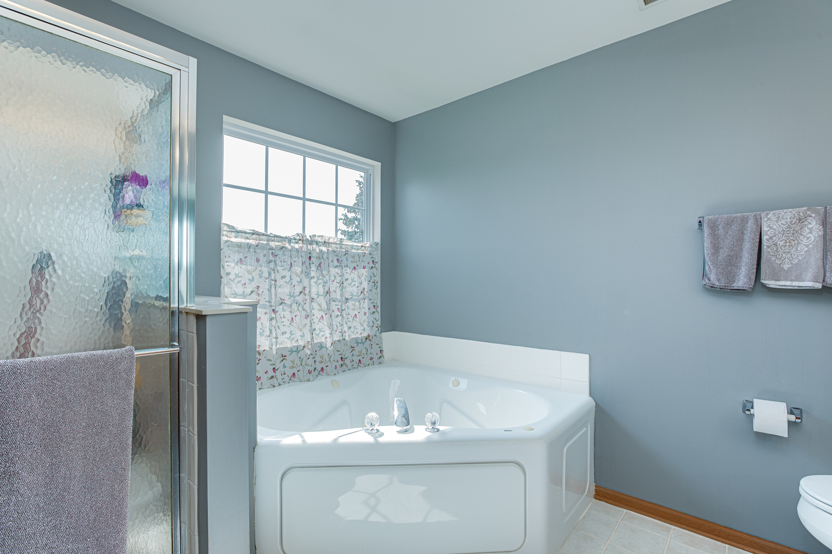 206 Brompton Lane #A, Sugar Grove, IL 60554