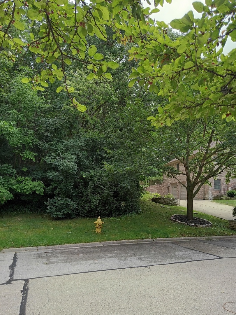 3 Merrimack Court, Bolingbrook, IL 60440