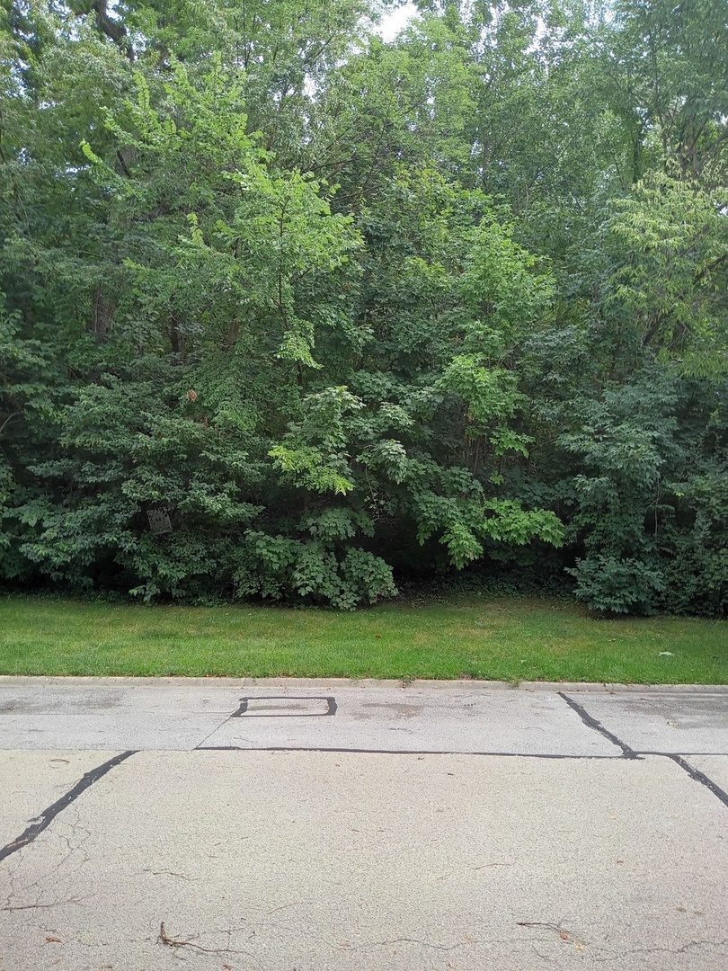 3 Merrimack Court, Bolingbrook, IL 60440