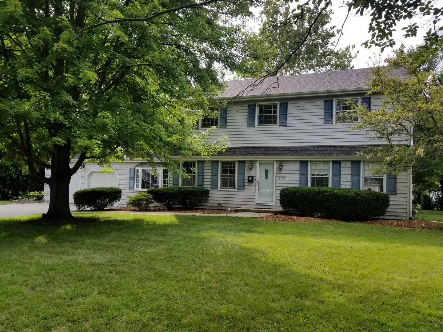 1121 Birkdale Court, Naperville, IL 60563