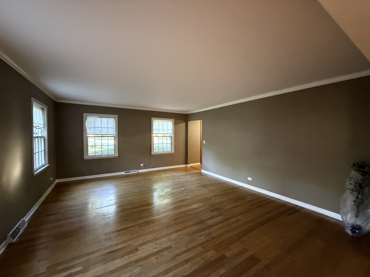 1121 Birkdale Court, Naperville, IL 60563