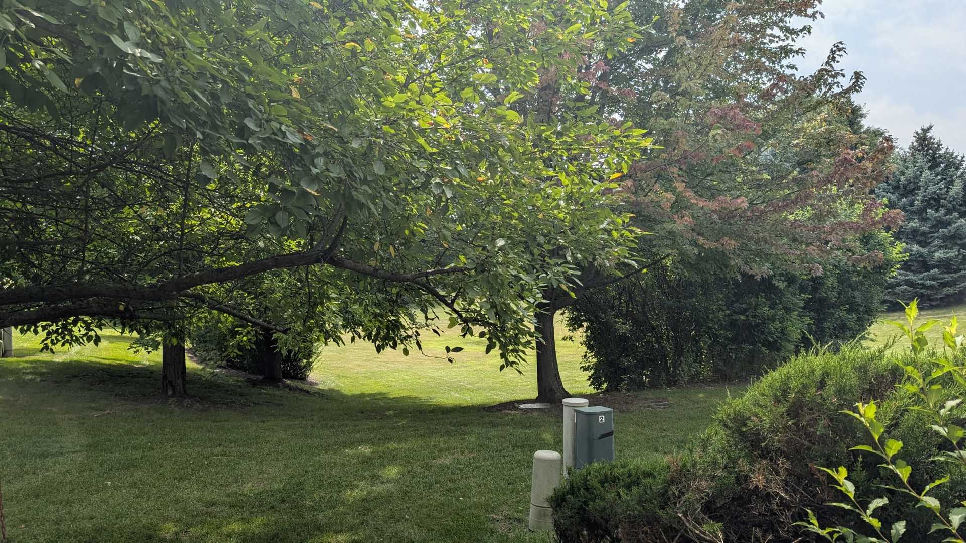 Aurora, IL 60502
