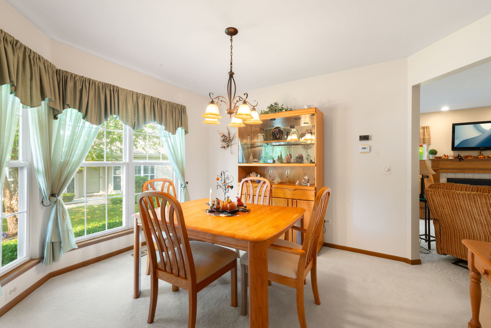 883 Wembley Court, Elgin, IL 60120
