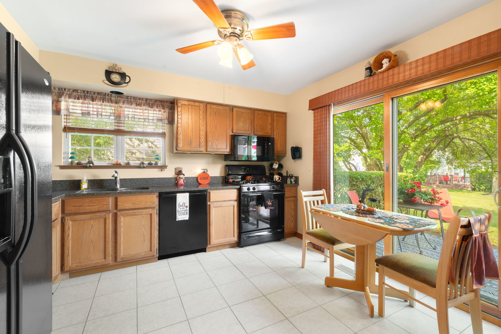 883 Wembley Court, Elgin, IL 60120