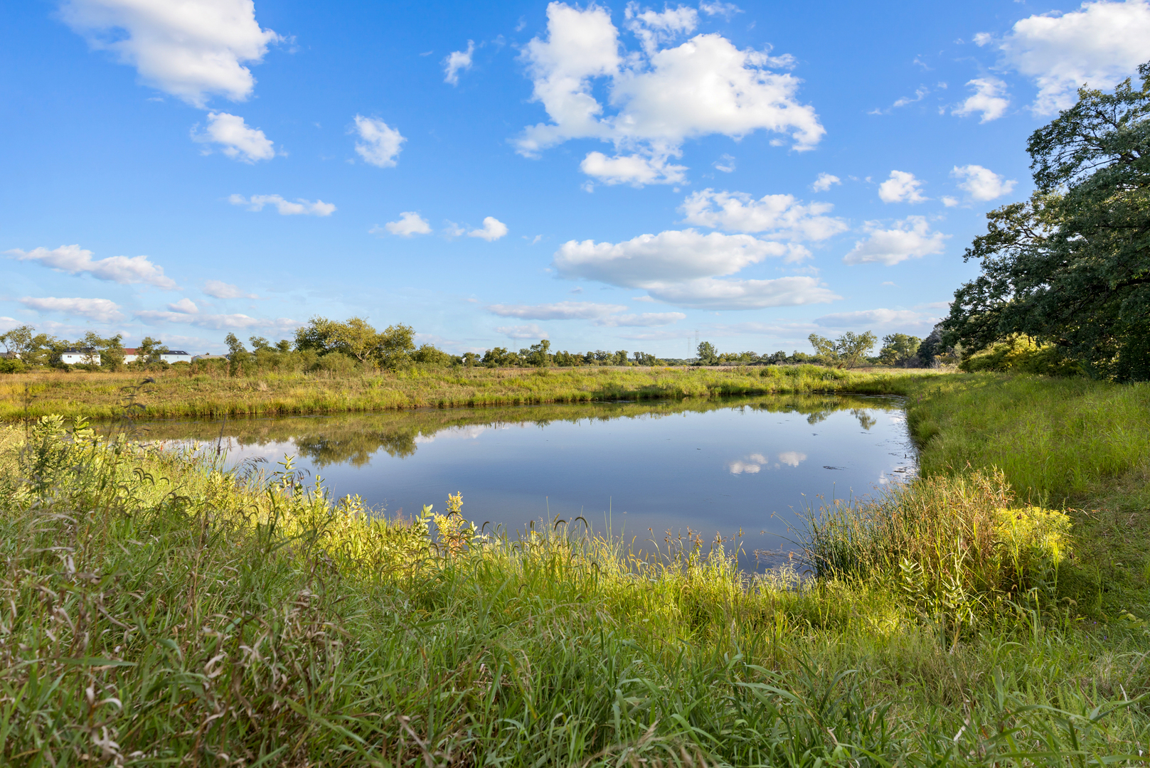 1156 Piccolo Lane, Volo, IL 60073