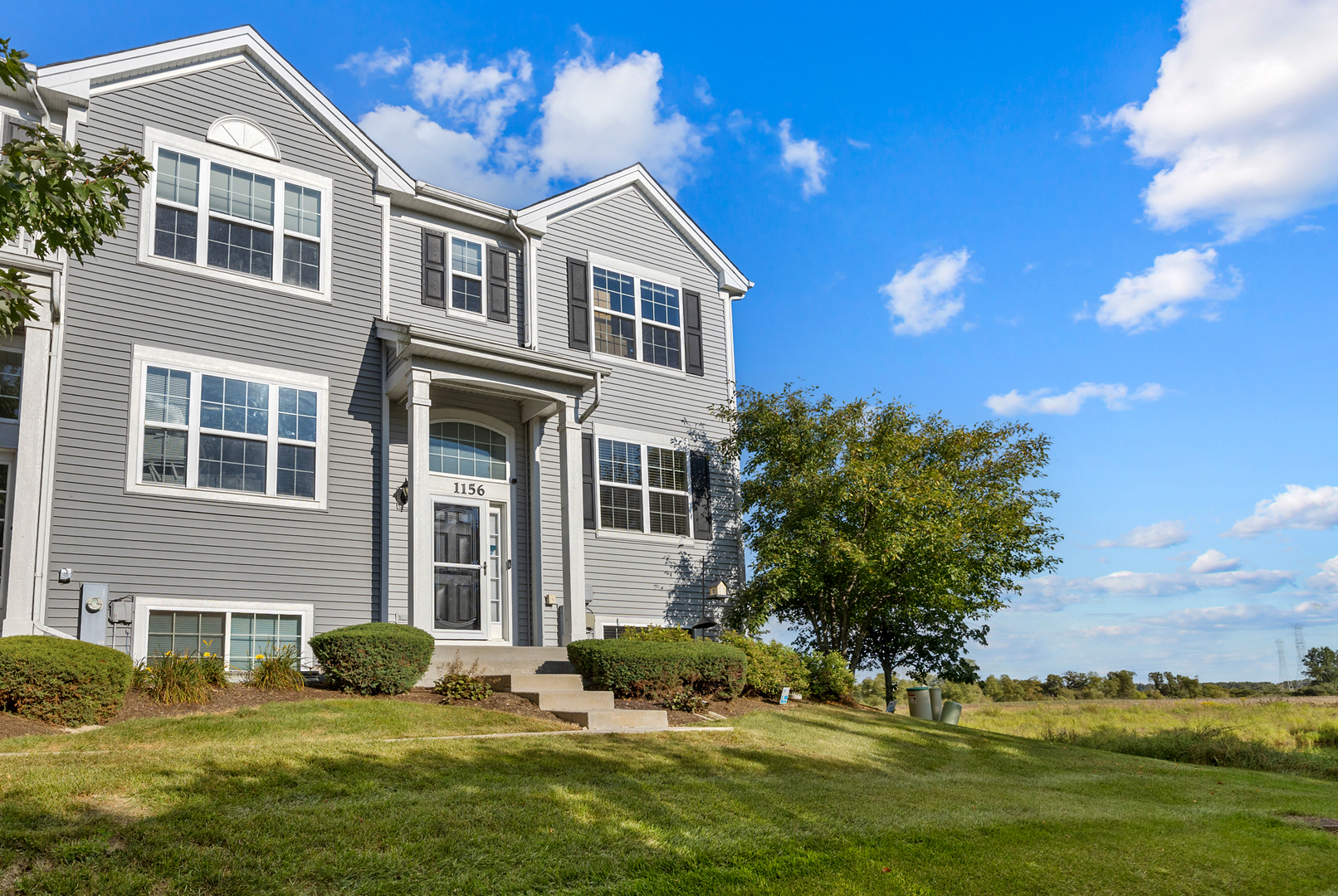 1156 Piccolo Lane, Volo, IL 60073
