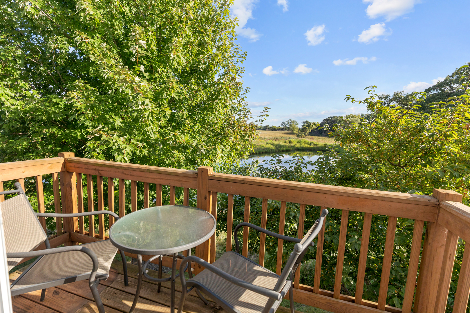 1156 Piccolo Lane, Volo, IL 60073