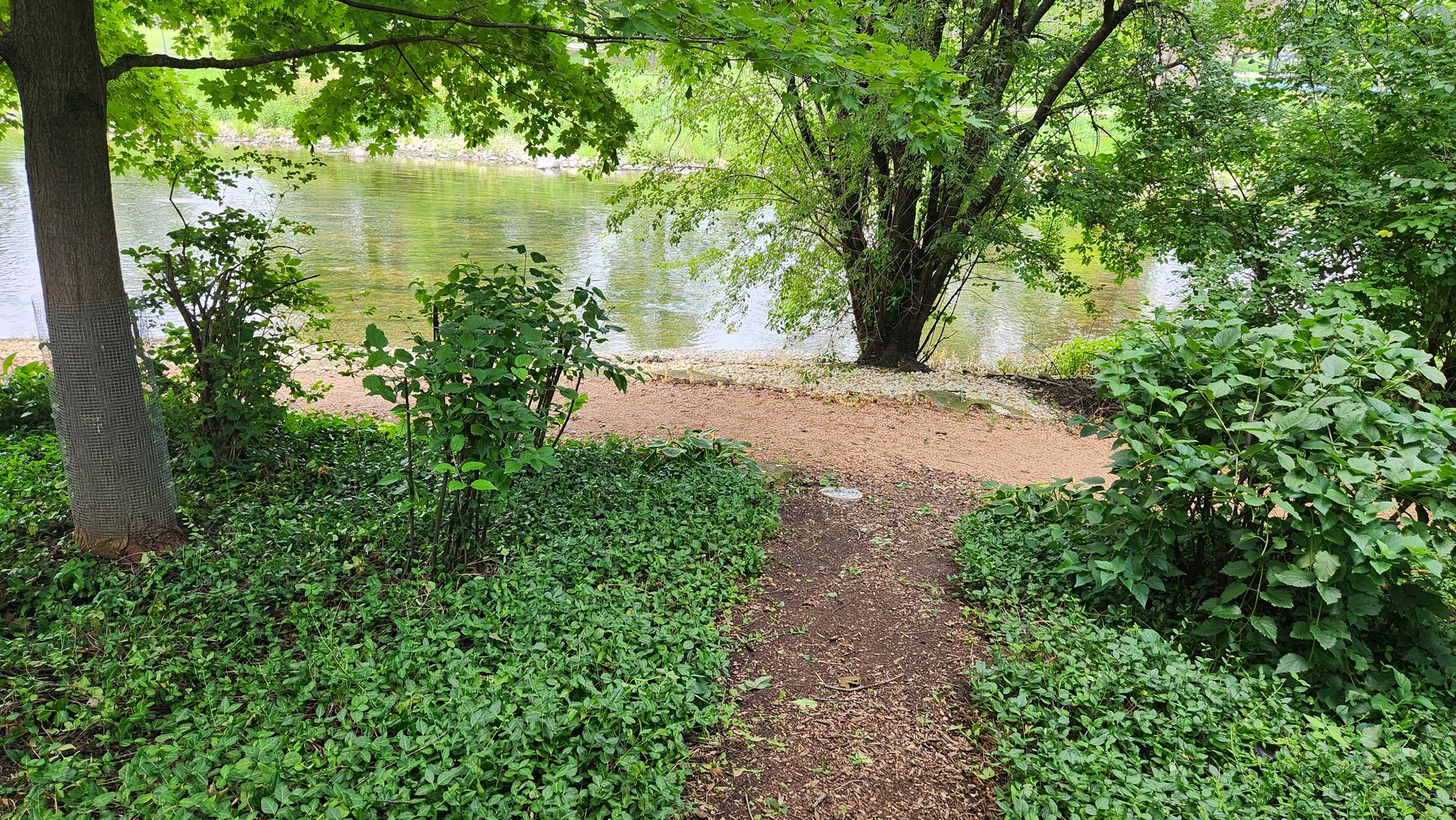 526 River Front Circle, Naperville, IL 60540