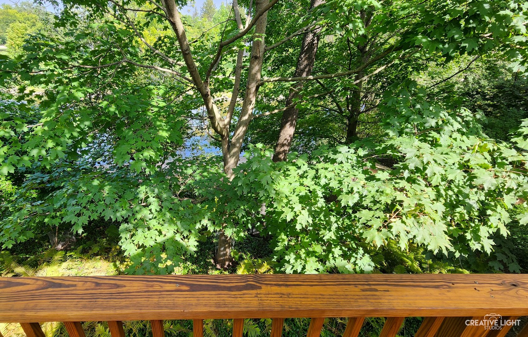 526 River Front Circle, Naperville, IL 60540